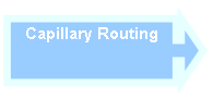 Right Arrow Callout: Capillary Routing

