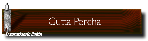 Gutta Percha