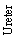 Text Box: Ureter