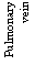 Text Box: Pulmonary vein